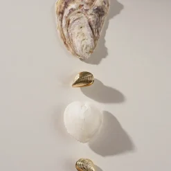 Creolen - Golden Shells