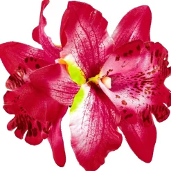 Haarspange - Tropical Flower