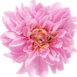 Haarspange - Wonderful Flower