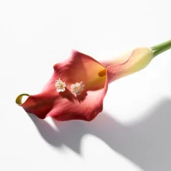 Ohrstecker - Noble Blossom