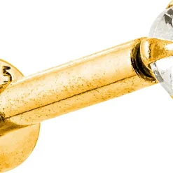 Piercing - Golden Seduction