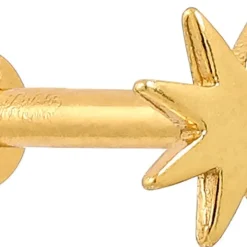 Piercing - Golden Star