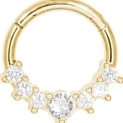 Piercing - Sparkling Elegance