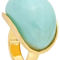 Ring - Ocean Dome